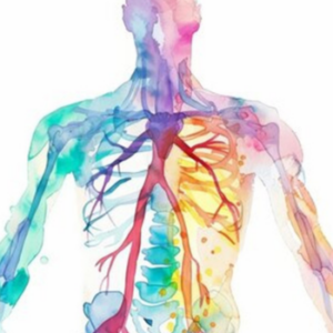 Anatomie et physiologie