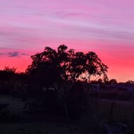 Sabine Henriot Salettes